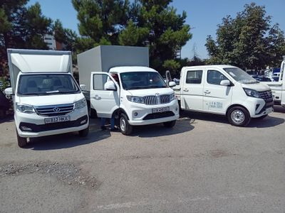 Автомобилний услуг, мошина юк ташиш хизмати