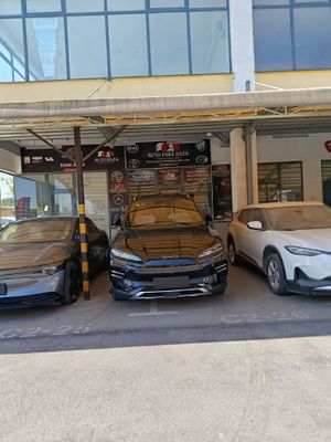 Byd smart Champion