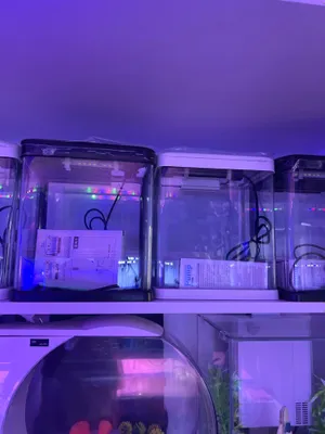 Akvarum va baliq dokon