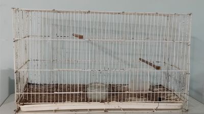 Продам большую клетка