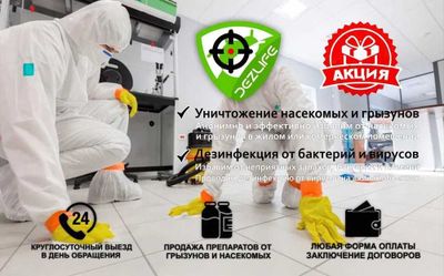 Dezinfeksiya Дезинфекция Уничтожение крыс тараканов клопов клещей klop