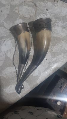 Продается рог 2 шт, цена за оба рога.