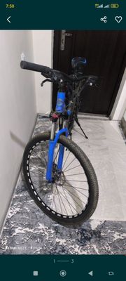 Yaponskiy velik 29
