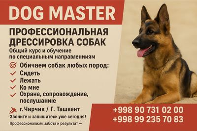 Дрессировка собак