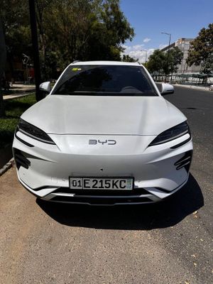 byd chempion 2025