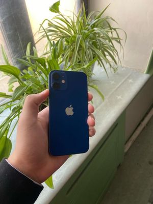 Iphone 12 mini.