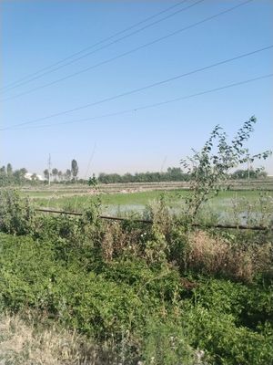 Продам 10 соток. Сурум.