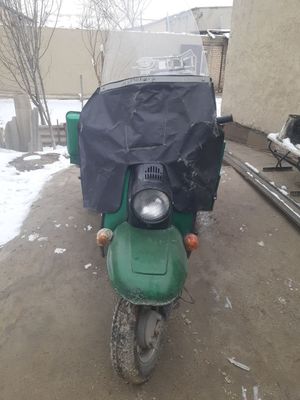 Муравьи в хорошем состоянии