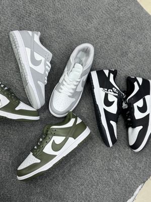 Nike air jordin sb