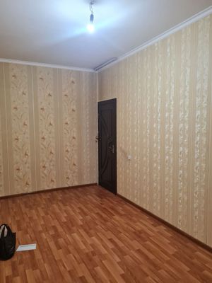 Кора камиш 1/3 4/3/4
