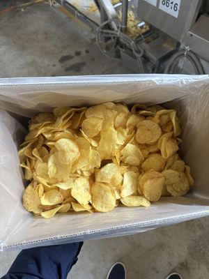Фаст-фуд учун чипслар!