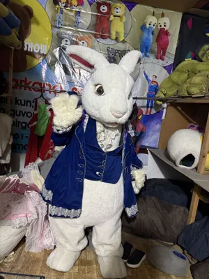 Srochno ayiqchalar sotiladi arzon narxlarda