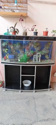 Akvarium sotiladi