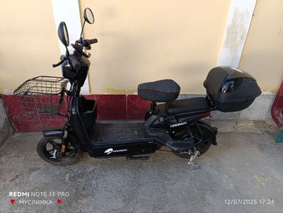 New Skuter Drongo