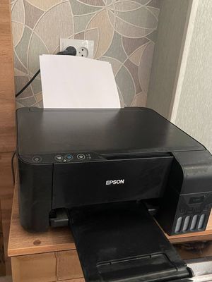 epson 3100 принтер