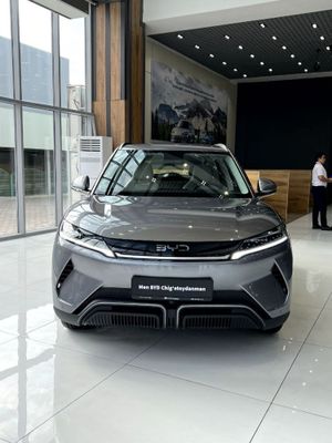 BYD YUAN UP 401Km Flagship
