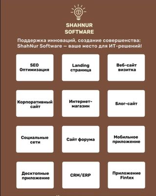 Компания ShahNur Software предлагает свои IT услуги