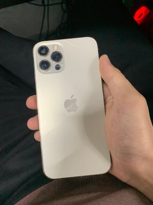 12 pro