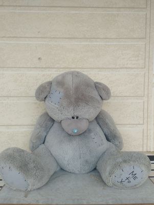 Teddy ayiq sotiladi