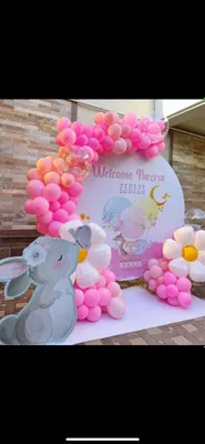 Выписка родома. Tug‘ruqxonadan chiqarilish