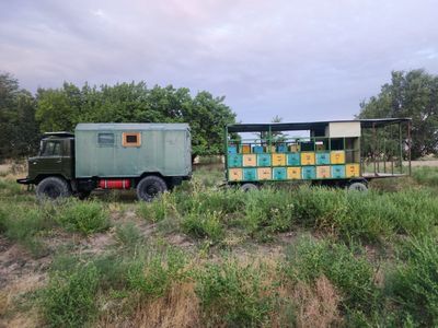 Асал ари прицепи билан сотилади
