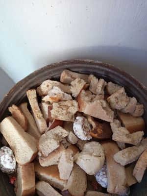 Коткан нон сотилади