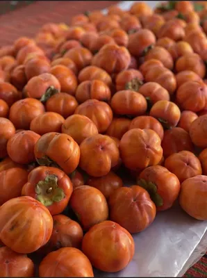 Xurmo Sotiladi Har-Hil  Sortidan Bor