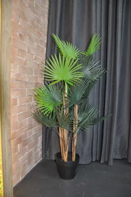 Искусственные деревья в горшках