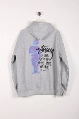 Серая зипка (кофиа на замке) Styssy