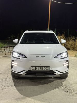 BYD Chempion 2024 honor