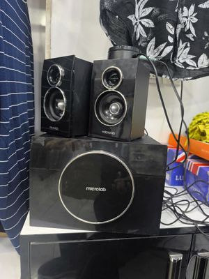 Microlab M-310..