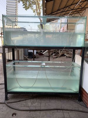 Akvarium kafe uchun