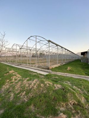Продаётся эранская теплица 1 гектар, цена:67,000$ Eron Teplicasi Sotil