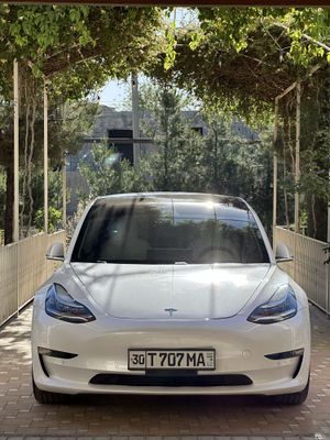 Tesla model 3 standart