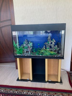 Аквариум