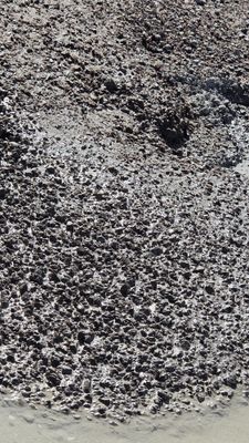 Suyuq beton toshkent shaxri bo'ylab