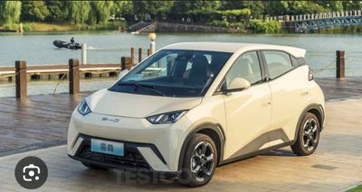 BYD seagull nasiya va naqd