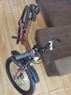 Velo professional
