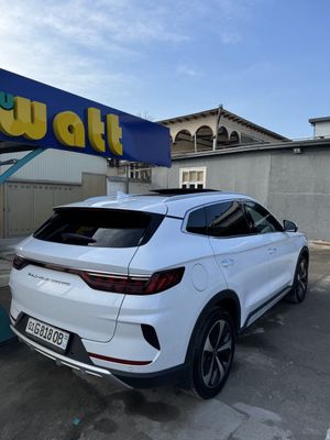BYD song plus flagship özimniki