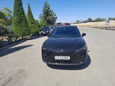 Авто услуги. Поездка в горы. Встреча с аэропорта. Роддом.