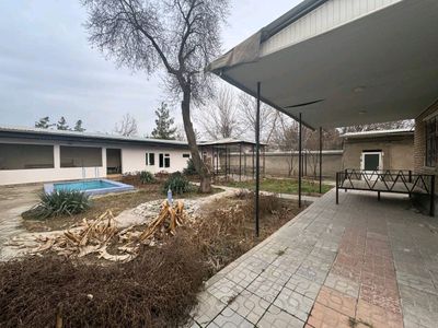 6 соток Янги Узбекистан