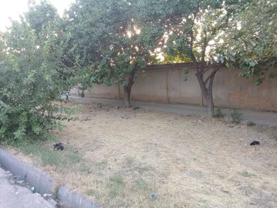 Чилонзорда Ер участка сотилади