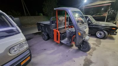 Elektroni murave