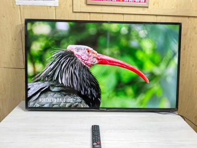 Продается телевизор Hisense 49
