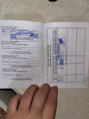 Веслоухая пародали мушук