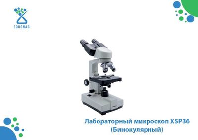 Лабораторный микроскоп XSP36 (Бинокулярный)