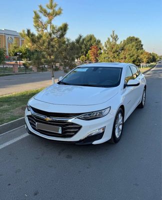 Malibu Pirmer 2022 Oq