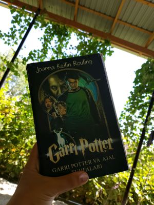 Garry Potter kitobi