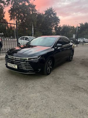 BYD chazor. 2024 4 pozitsa 120 km