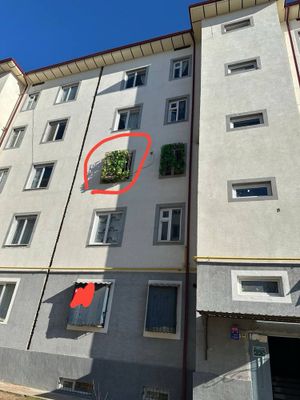 Dom Srochna Sotiladi